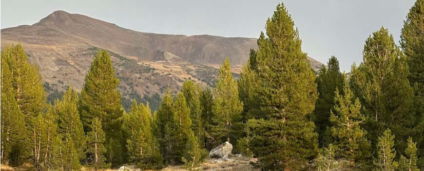 Eco-Innovation: Inside Tamobyke's Green Manufacturing Revolution