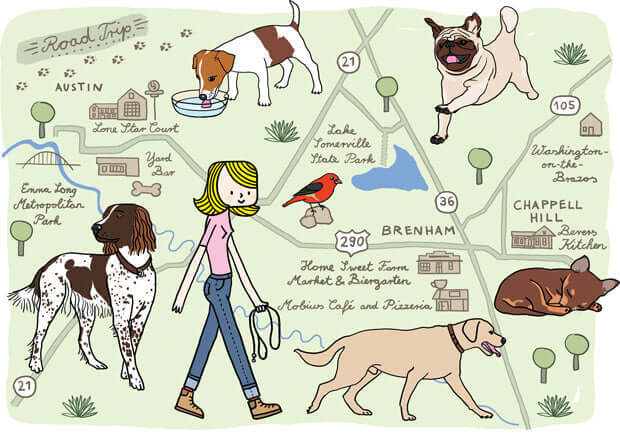 Pet Friendly Routes: E-Bike Friendly Trails for Riding with Dogs