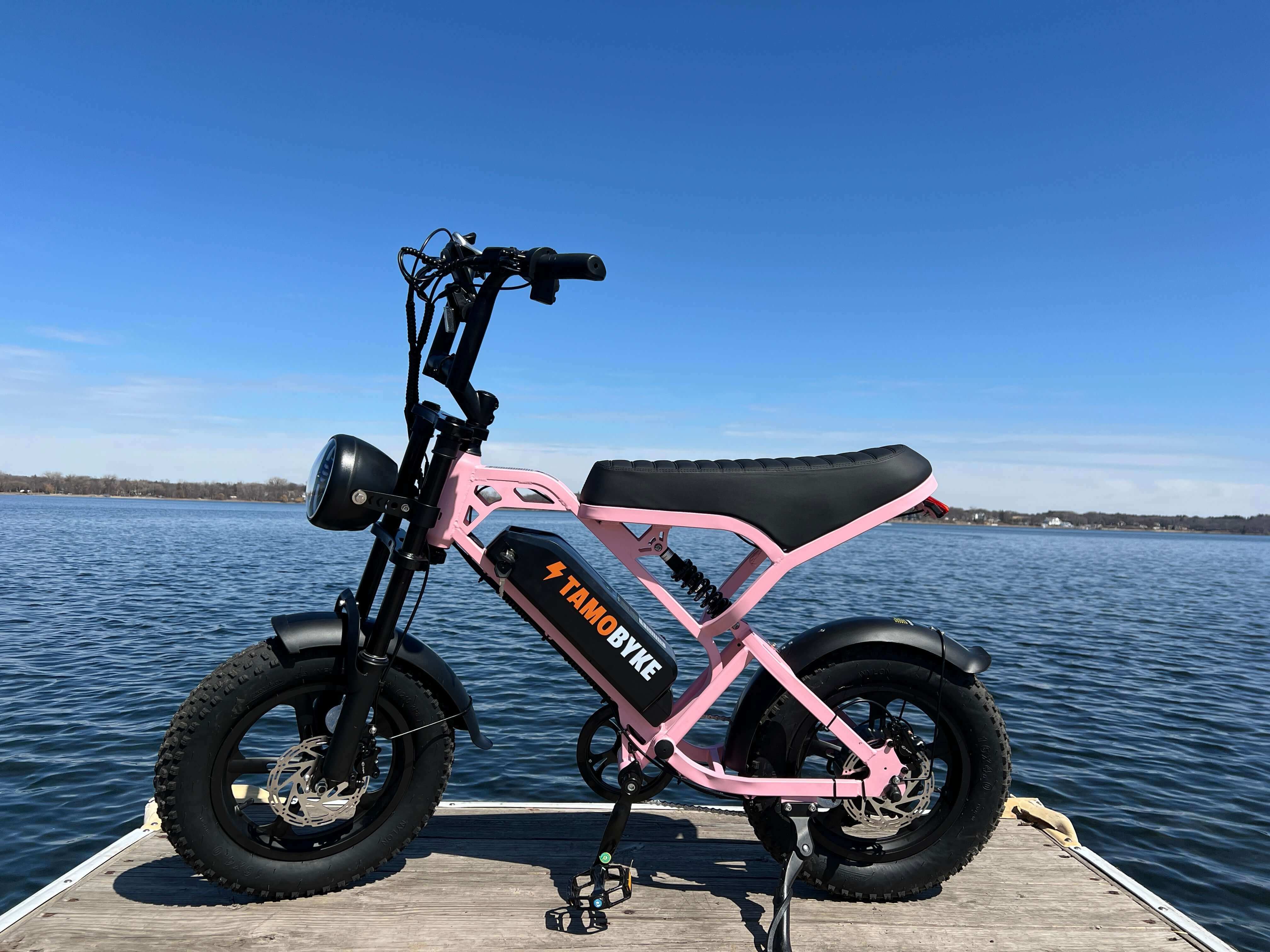 E-Bike Motors: Mid-Drive vs. Hub - Tamobykesport