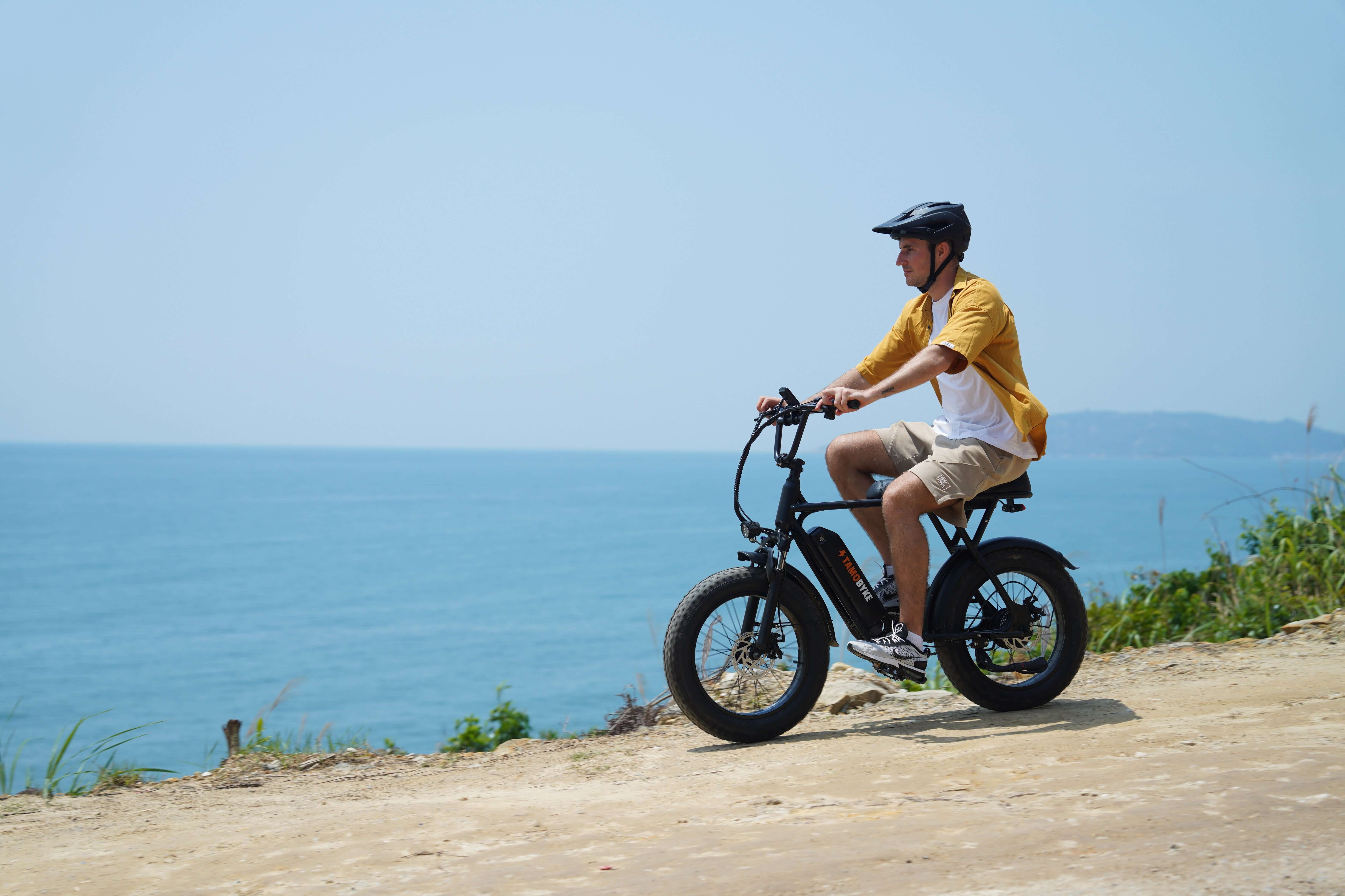 E-Bike Cost-Benefit Analysis: The Smart Investment Guide for 2025 Tamobykesport