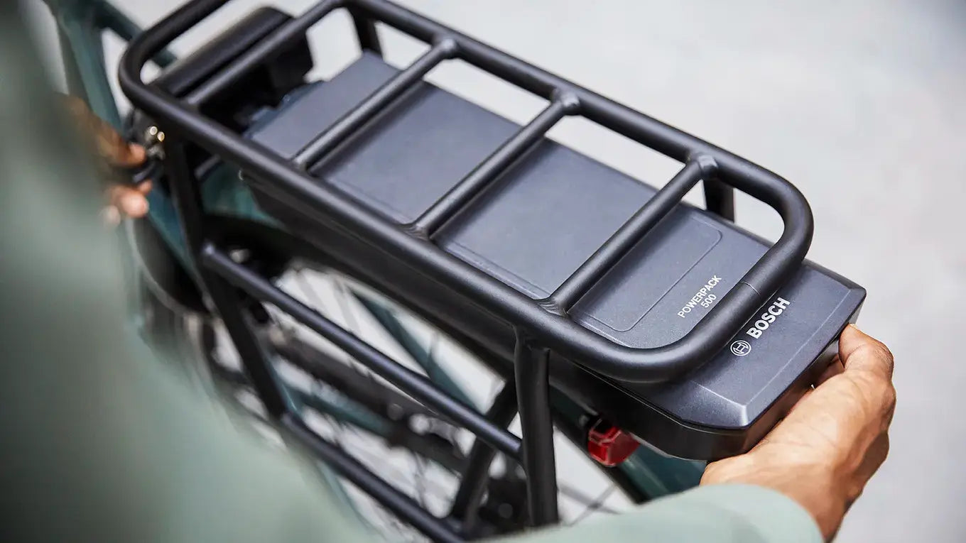 Electric Bike Battery Maintenance Tips: 12 Practical Tips to Extend Life - Tamobykesport