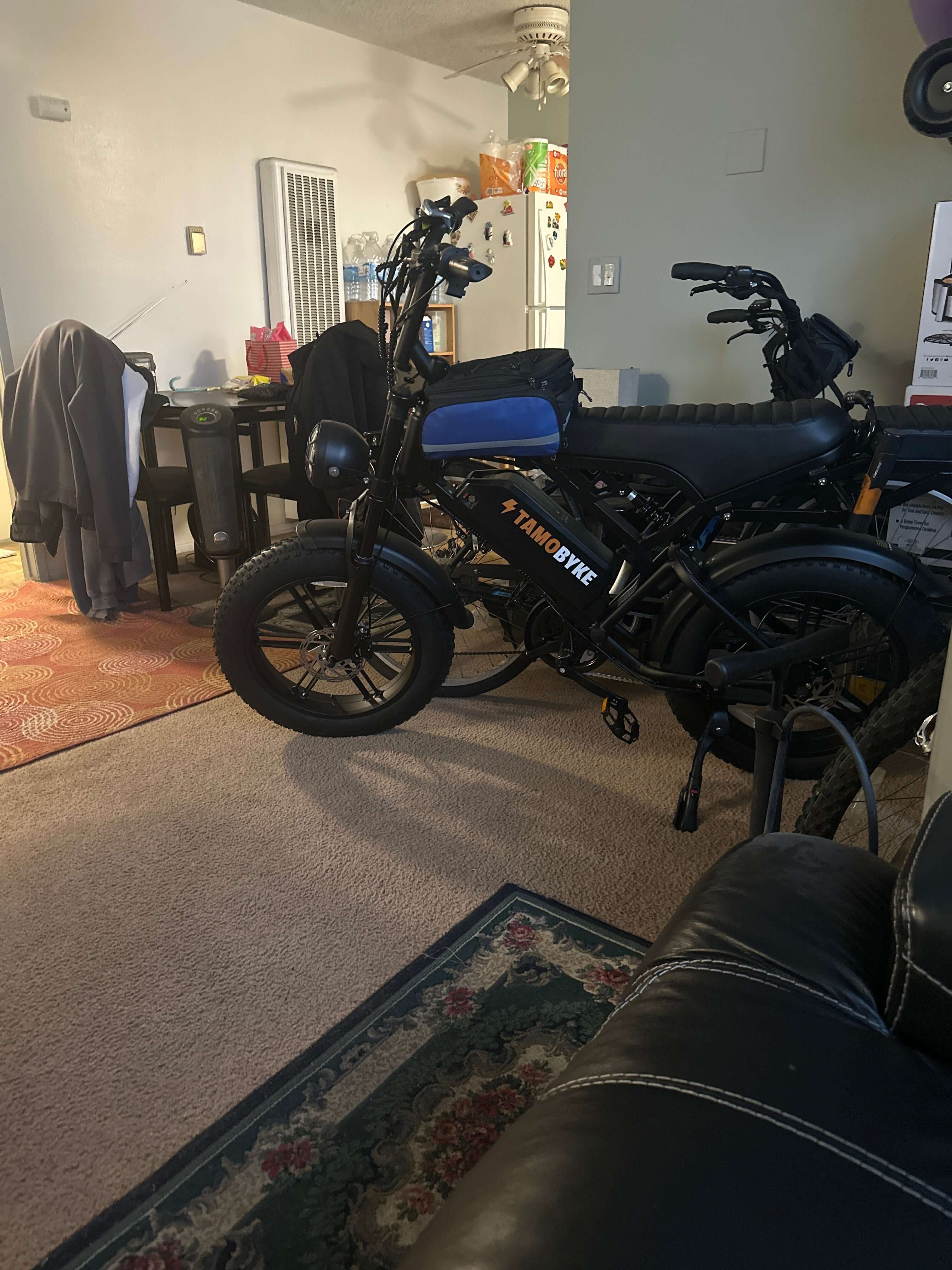 $325 Per Month: Supercharge Your Commute with 2025 E-Bike Incentives Tamobykesport