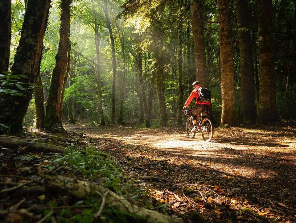 Cross-Country E-Bike Routes 2025: Ultimate Long-Distance Touring Guide with Tamobyke Tamobykesport