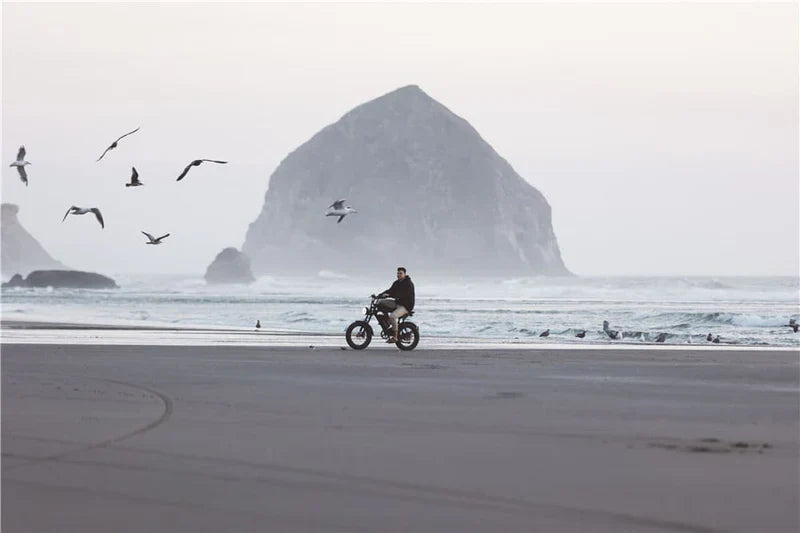 Is It Legal to Ride E-Bikes on Beaches? Complete 2025 Coastal Regulations Guide Tamobykesport