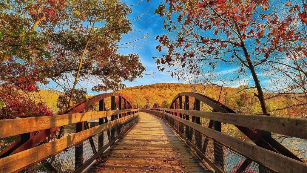 Rail-to-Trail E-Bike Routes - Best Converted Railways with Tamobyke