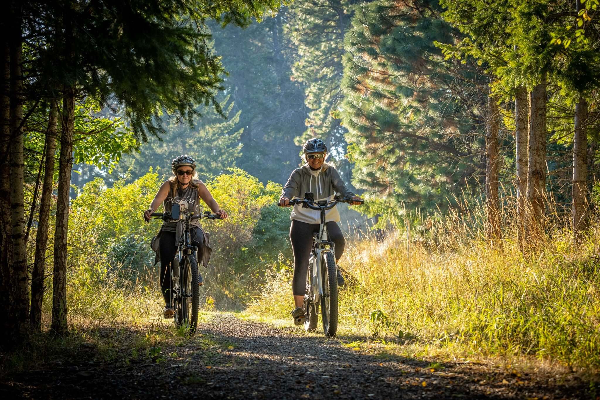 Forest Crossing: Guide to E-bike Route Through Primeval Forest