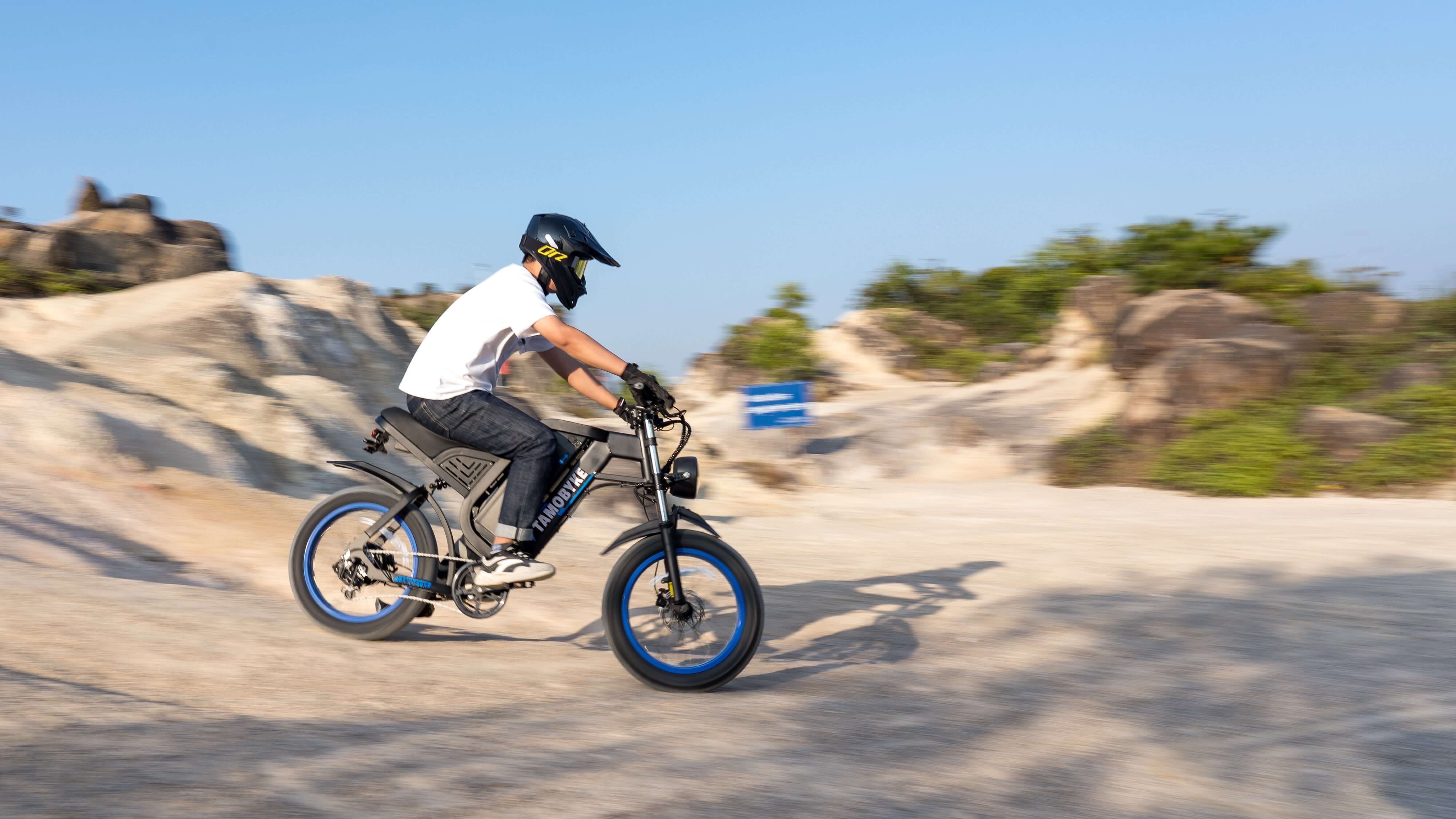 Rent vs. Bring: A Review of Electric Bike Rental Services in Various Tourist Cities