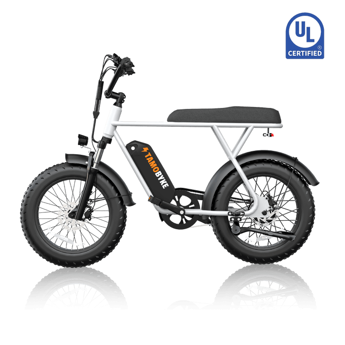 Circular Design Philosophy: Revolutionizing E-Bike Sustainability in 2025