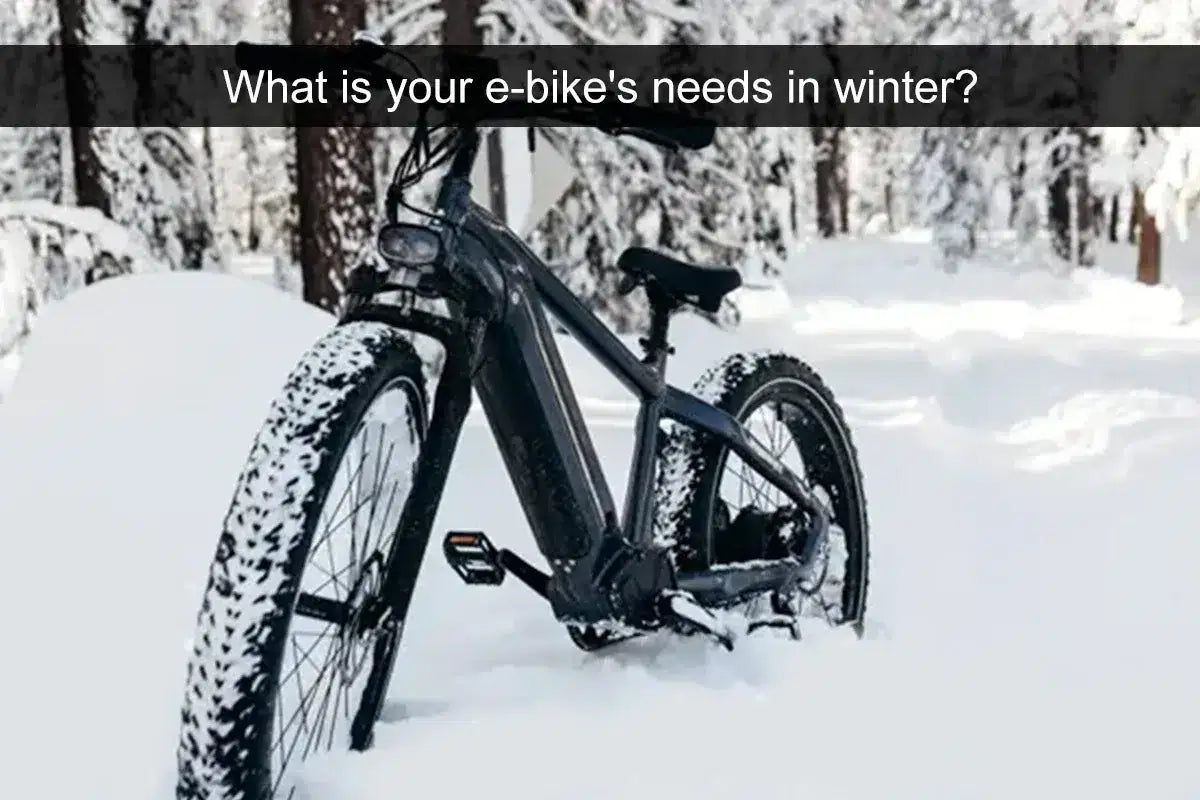 Fat Tire E-Bikes: The Ultimate Winter Solution