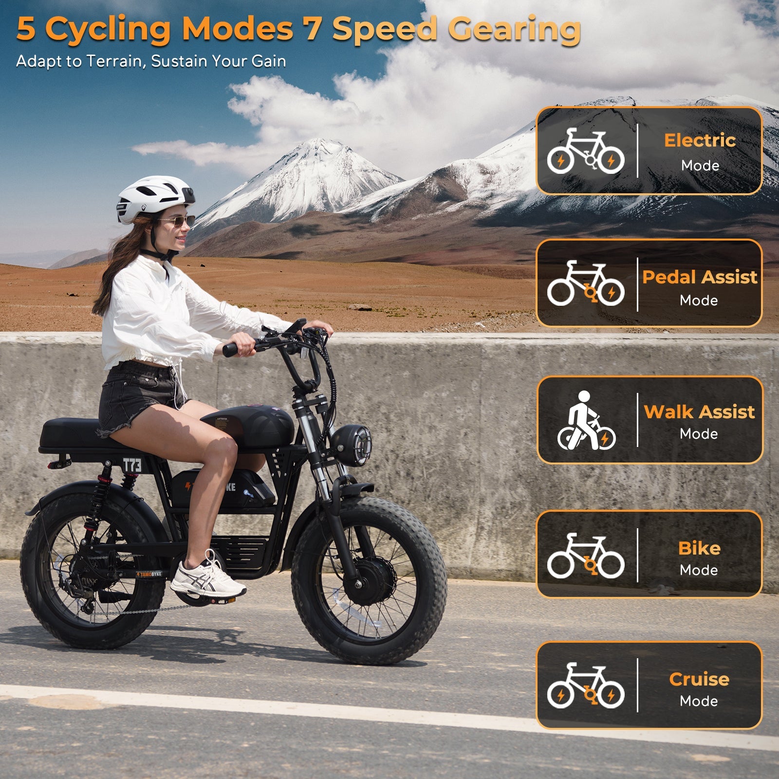 Tamobyke T73 Pro Max Electric Bike Tamobyke