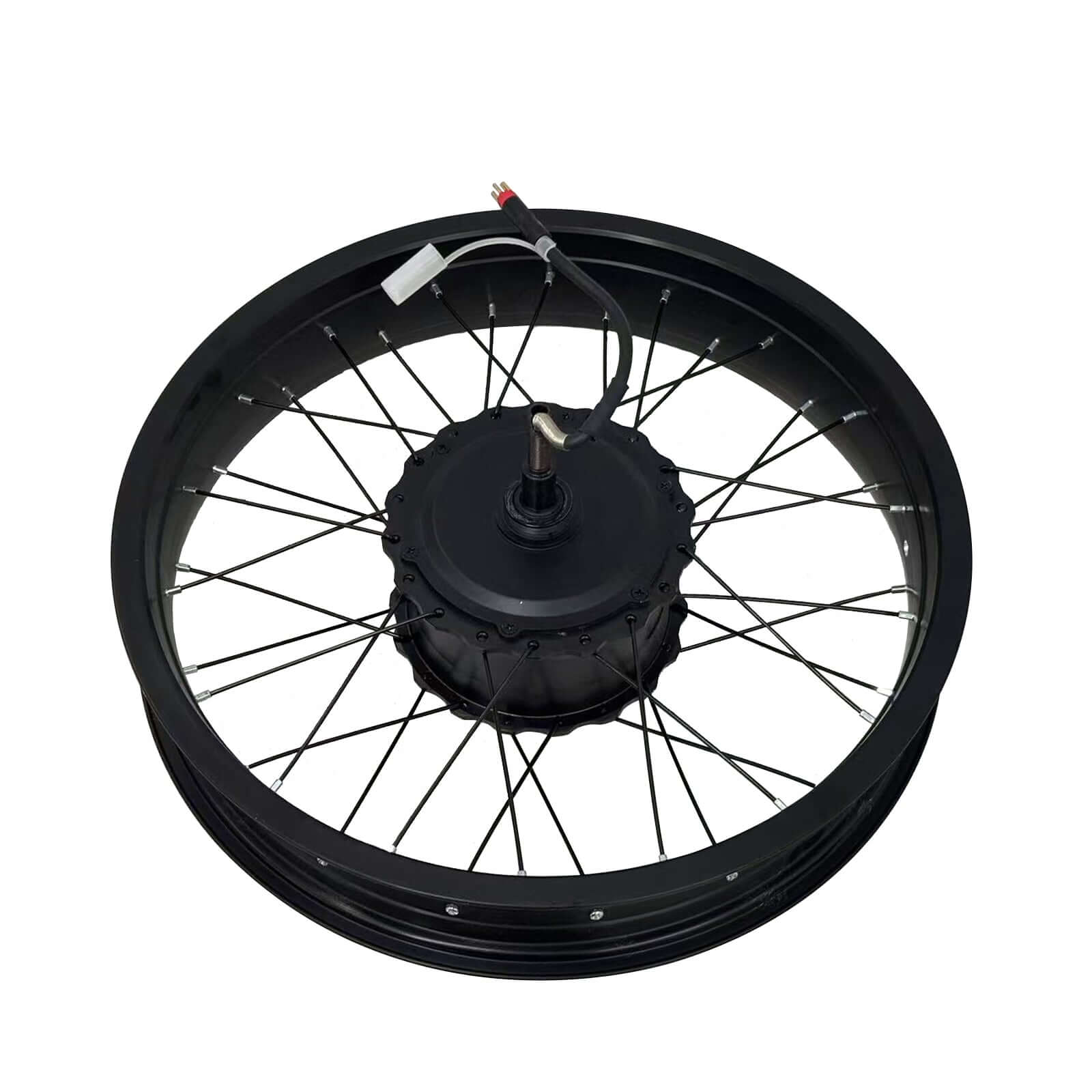 Tamobkye V20 Spoke Wheel Motor Tamobyke