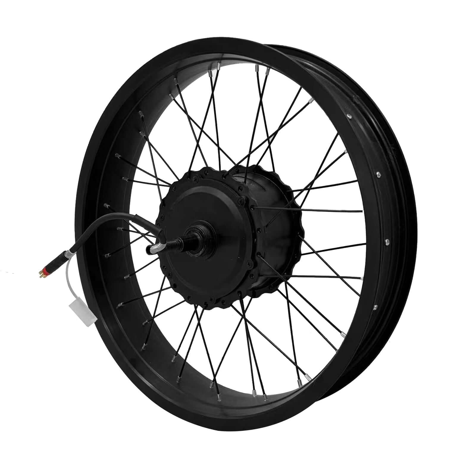 Tamobkye V20 Spoke Wheel Motor Tamobyke