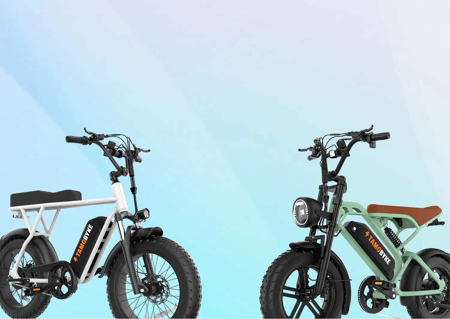 Spring Revival: Essential Maintenance Tips for Your E-Bike After Winter Tamobykesport