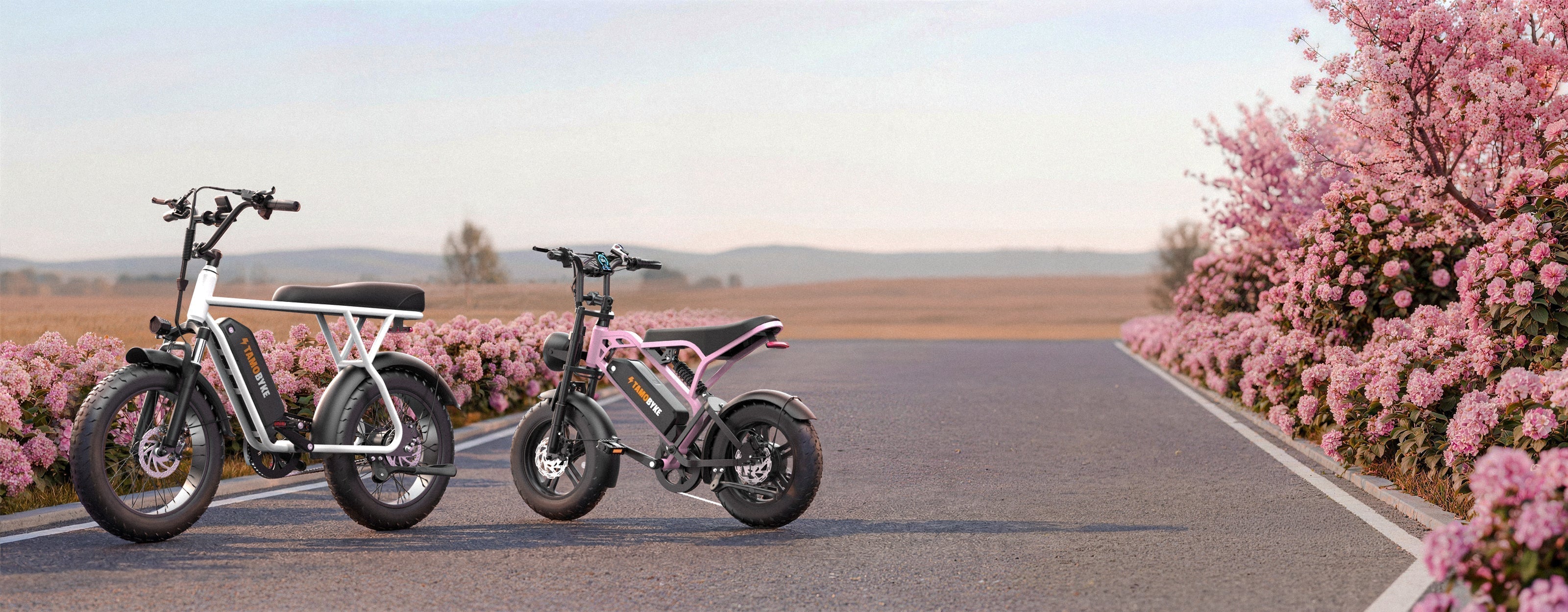 2026 Mother’s Day Gift Guide: Best Tamobyke E-Bikes for Every Mom