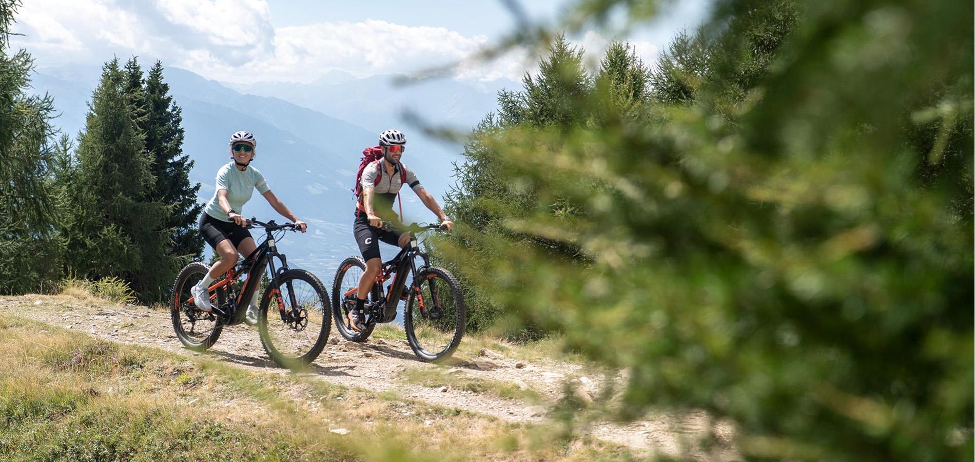 E-Bike Torque Explained: Understanding Motor Power for Maximum Performance Tamobykesport