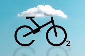 Electric Bikes and Carbon Offsets: Calculate Your Cycling Contribution Tamobykesport