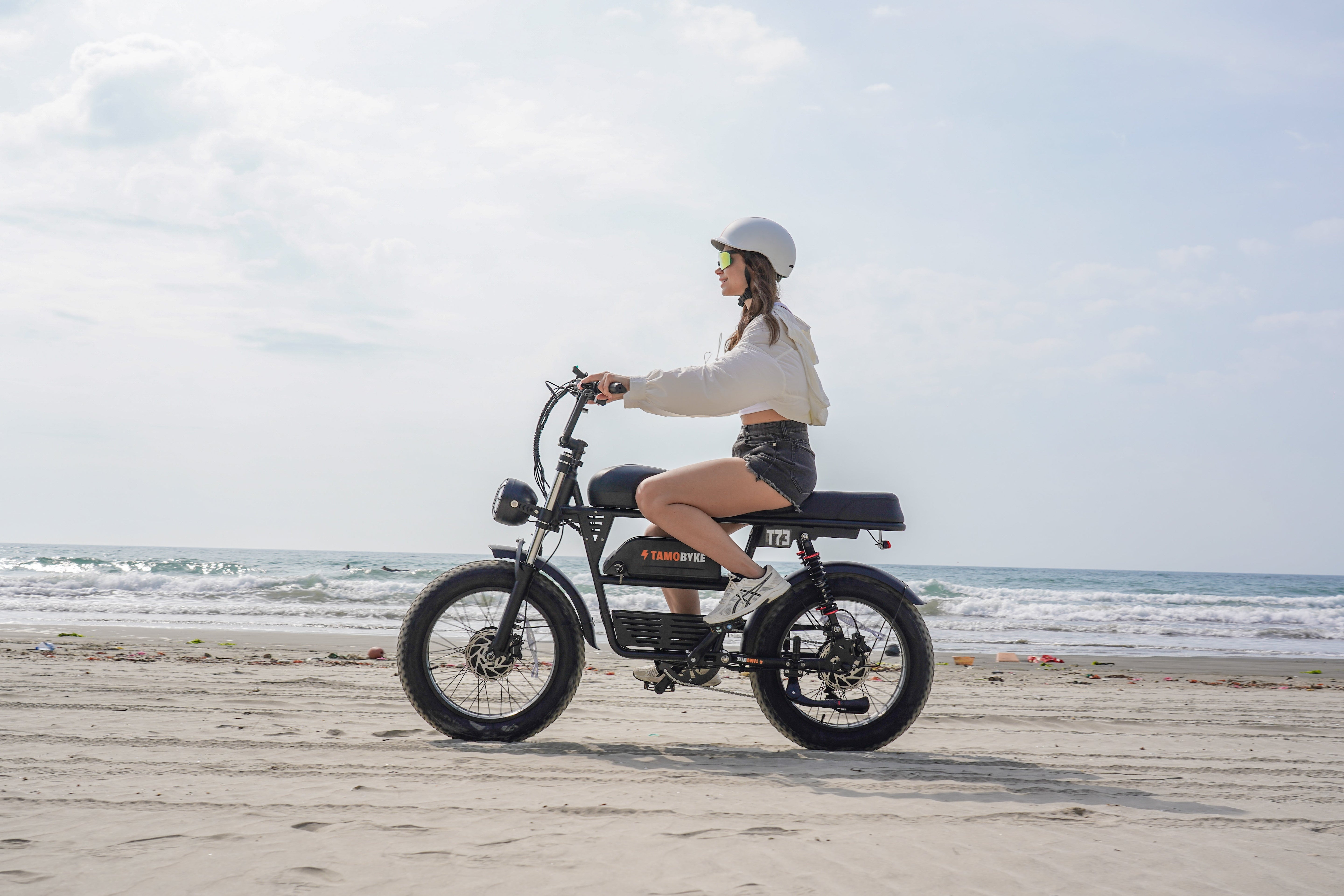 DIY E-Bike Maintenance Tips: Essential Care for Your Tamobyke Electric Bike