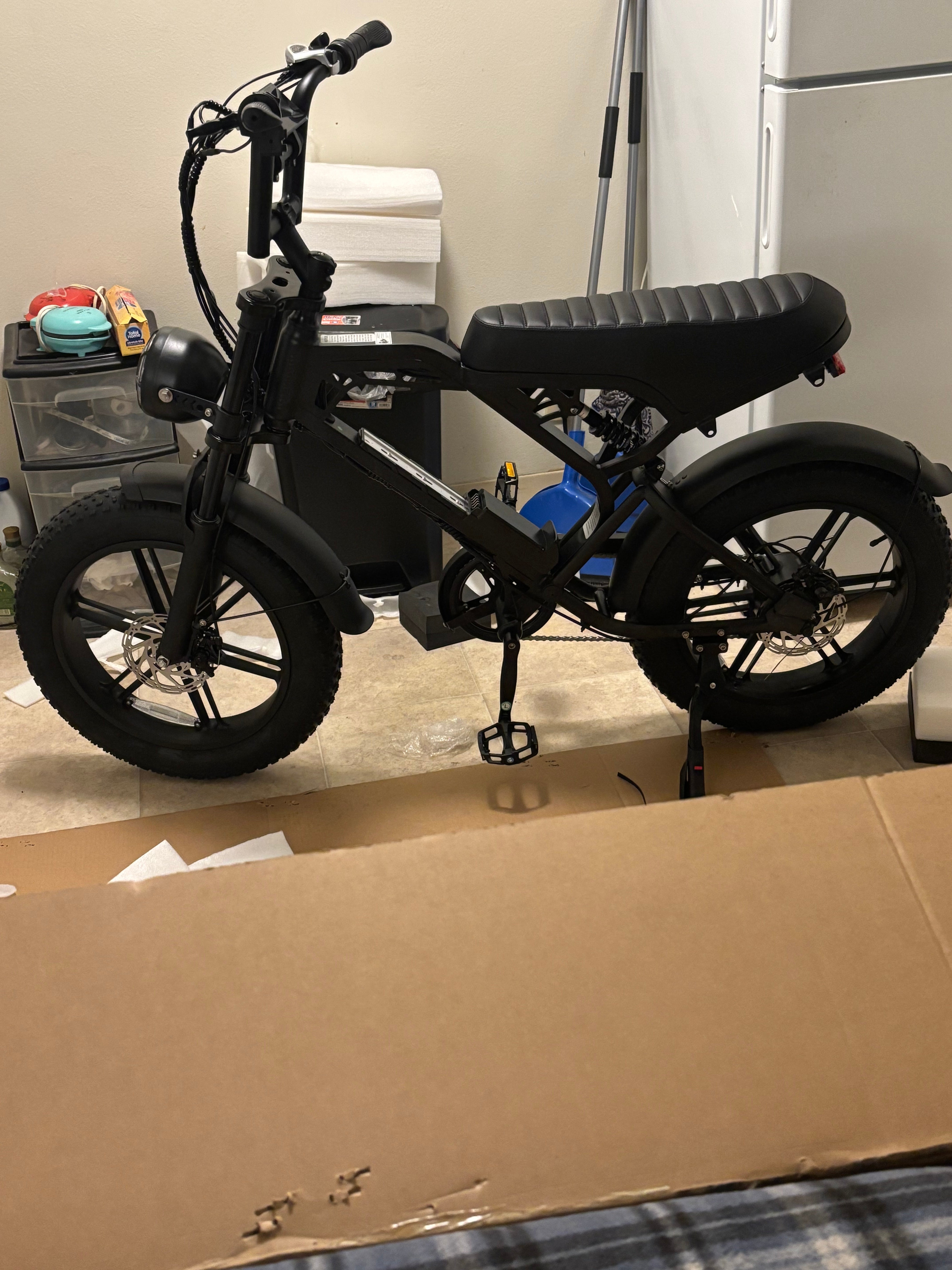 Electric Bike Safety Systems: Tamobyke E-Bike Safety Features