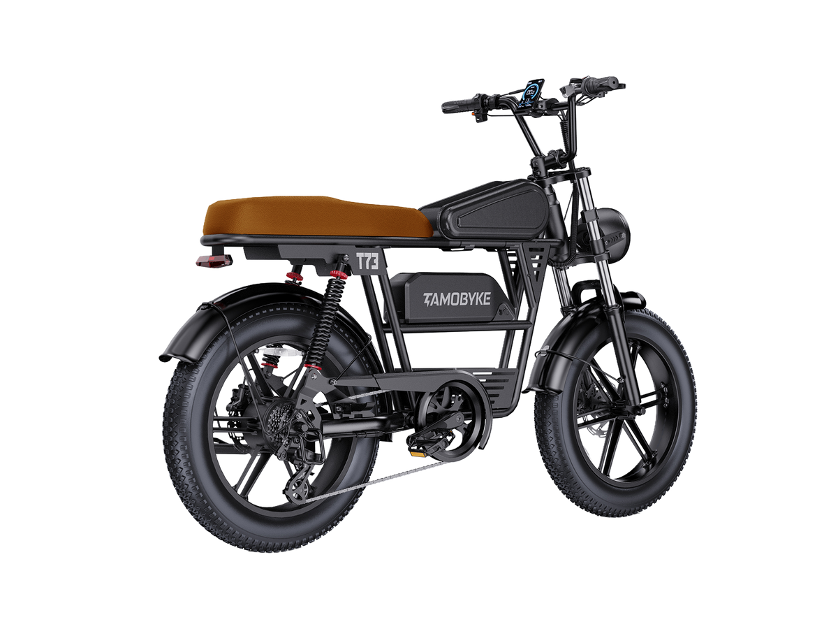 T73 E-bike brown Tamobyke