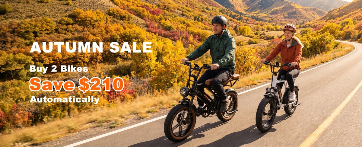 Tamobyke E-bikes Autumn Save