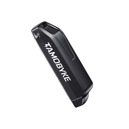 48V Unit Pack Power Lithium Battery V20|Tamobyke