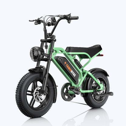 Tamobyke T16 Commuter Electric Bike green