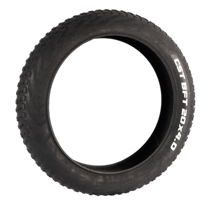 Fat Tire for E-Bikes