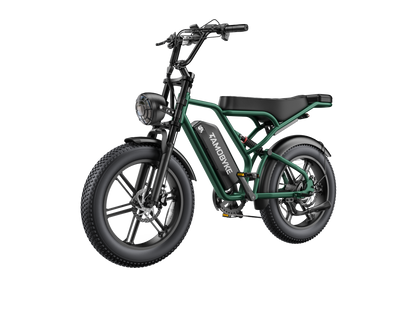Tamobyke T60 Electric Bike green