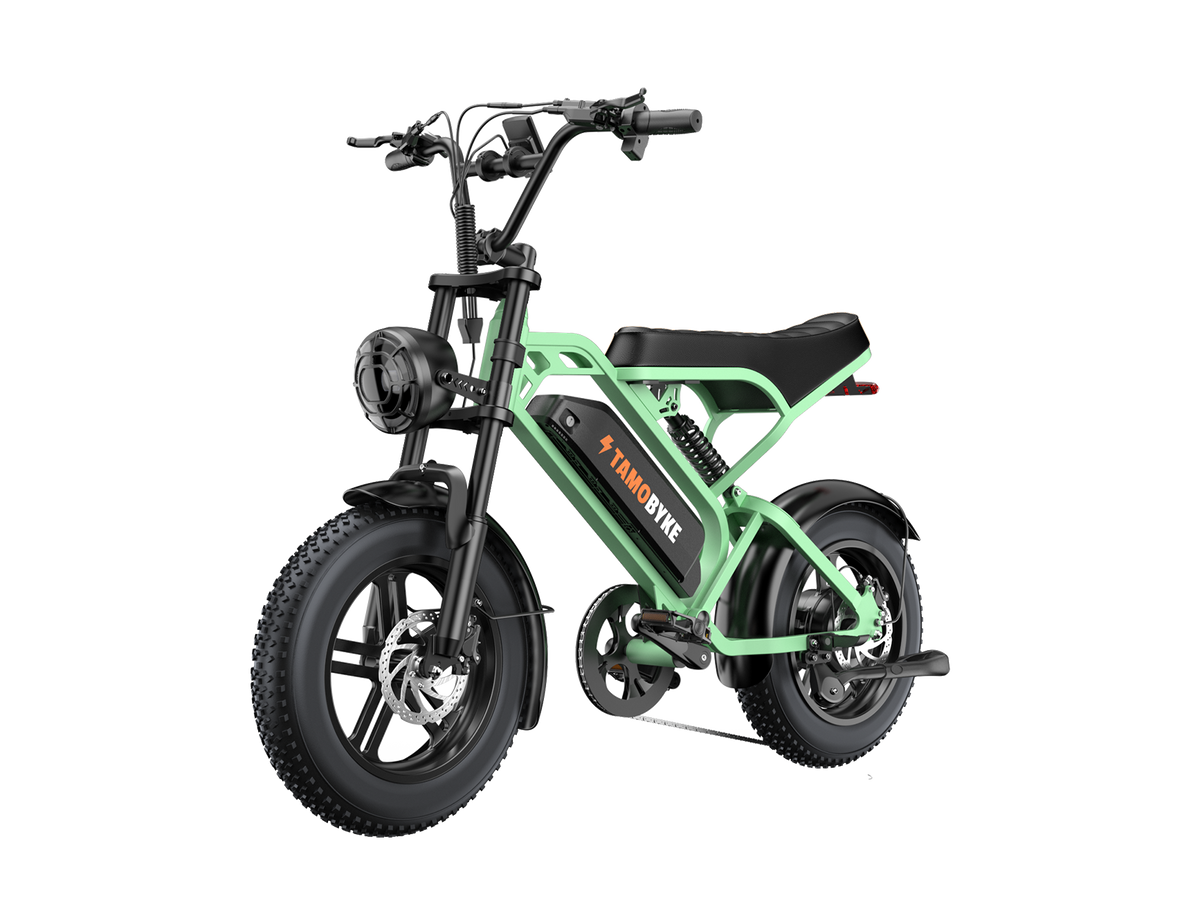 Tamobyke T16 Commuter Electric Bike green