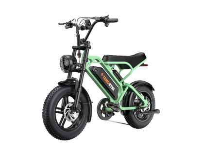 Tamobyke T16 Commuter Electric Bike green