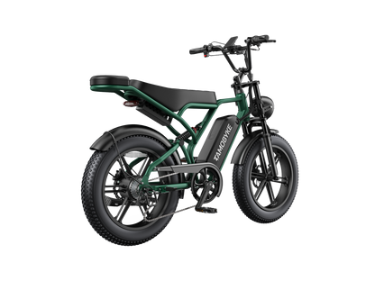 Tamobyke T60 Electric Bike green