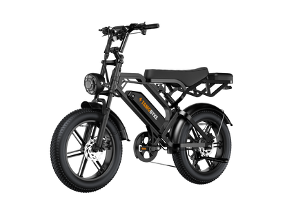 Tamobyke V20 Electric Bike