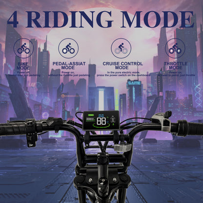 Tamobyke V20 Electric Bike - 1000W Motor, 20'' Fat Tire, 28MPH Speed, 30-75 Miles Range