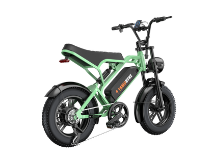 Tamobyke T16 Commuter Electric Bike green