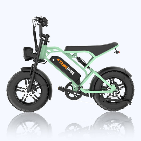 small electric bicycle Tamobyke T16 RAM Mounts Tough-Tube Fishing Type J Artist:Wii bike that’s all about