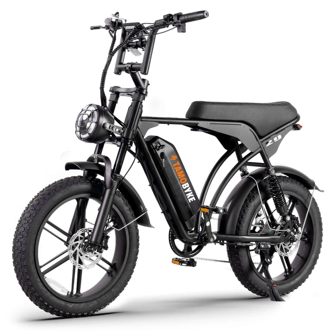 Ebike Display Settings Complete Guide 2025 Tamobyke Tamobykesport