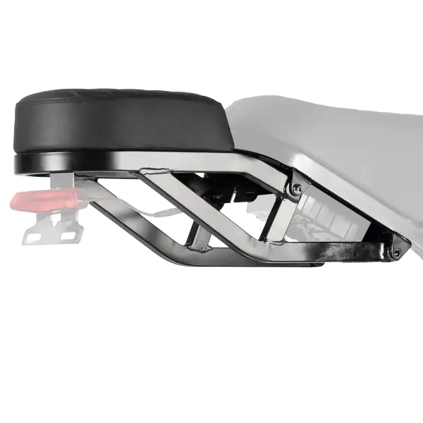 V20 Rear Rack 55LB Cargo Capacity Steel Frame|Tamobyke – Tamobykesport