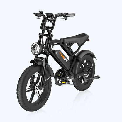 V20 Electric Bike