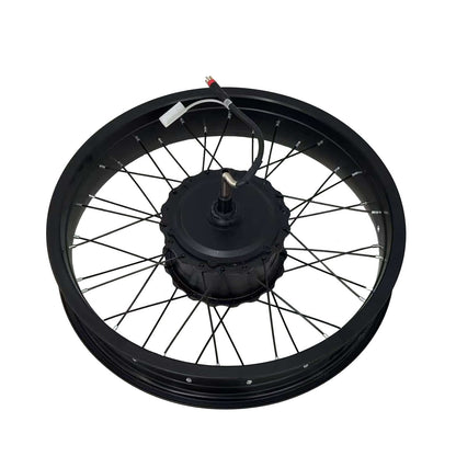 Tamobkye V20 Spoke Wheel Motor