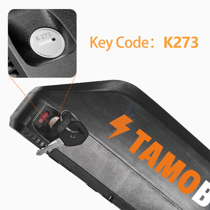 Customized Battery Keys for Tamobyke