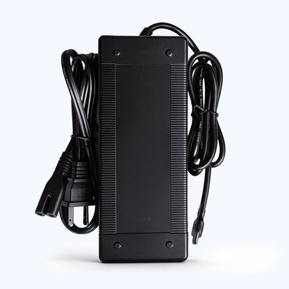Tamobyke EBIKE Single-Hole Battery Charger